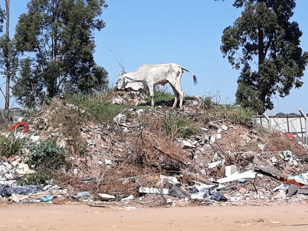 20181112_181112 descarte de resíduos sólidos no bairro Jardim Mario Covas